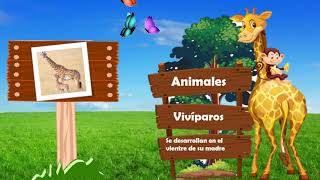 Animales Ovíparos y Vivíparos [upl. by Rella]