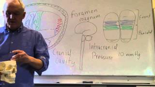 Brain and head injuries lesson 1 Introduction intracranial pressure and level of consciousness [upl. by Enitsirhc]