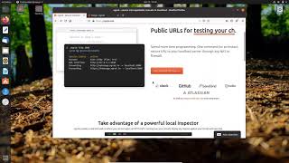 How to install Ngrok in linux [upl. by Nunnery607]