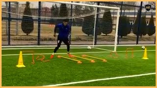 Professional Goalkeeper Training [upl. by O'Shee736]