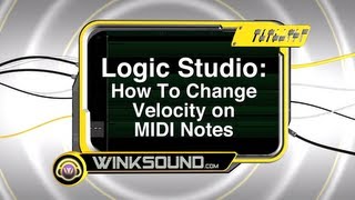 Logic Pro How To Change Velocity on MIDI Notes  WinkSound [upl. by Attenrev]