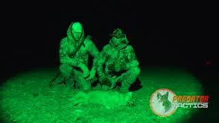 Thermal Predator Hunting  100 Coyotes Down  O’Neill Ops amp Trijicon [upl. by Ralina]