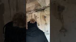 Auschwitz Disturbing Tour [upl. by Nolat665]