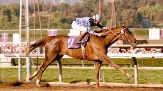 1993 Breeders Cup Classic  Arcangues  Post Race amp WrapUp [upl. by Treblihp662]