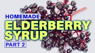 Homemade Elderberry Syrup THE COLD amp FLU KILLER Part 2 [upl. by Buschi]