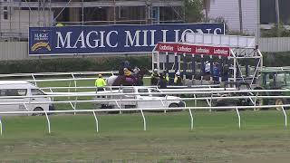 Heat 18  Doomben Jumpouts 08112023 [upl. by Llovera]