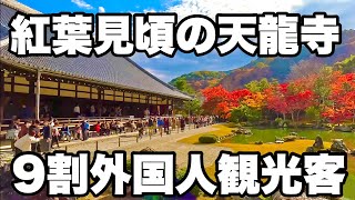 【4K】2024年12月1日（日）紅葉見頃の京都天龍寺。外国人観光客が大殺到！京都天龙寺，秋叶盛开。外国游客蜂拥而至！Tenryuji Temple in Kyoto japan [upl. by Dinsdale487]