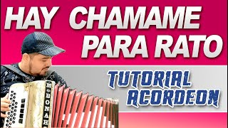 TUTORIAL HAY CHAMAME PARA RATO del Conjunto IVOTI Acordeón Verdulera [upl. by Minor]