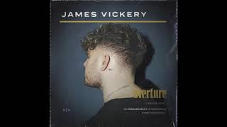 James Vickery  Perfect Company  Official Audio [upl. by Richman]