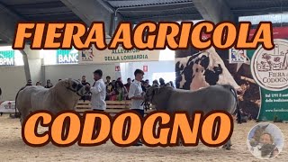 FIERA AGRICOLA di CODOGNO LODI lombardia con DUEA TENSOSTRUTTURE [upl. by Ahsitnauq]