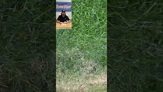 Overseed your fescue lawn today overseeding lawncare seeder seeds seed [upl. by Ecinhoj542]