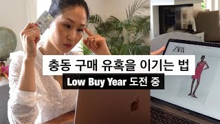 내가 충동구매 유혹을 극복한 방법  Low Buy Year 도전 중의 배움  의미있는 소비  미니멀라이프 [upl. by Maurise822]