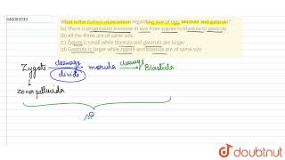 What is the correct observation regarding size of egg blastula and gastrula a There is progr [upl. by Dorothee]