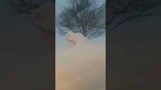 Snow Time lapse [upl. by Riha823]