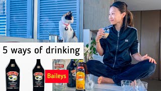 5 Ways of Drinking Baileys For Beginners [upl. by Winthrop]