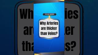 Why Arteries are thicker than Veins [upl. by Eniotna918]