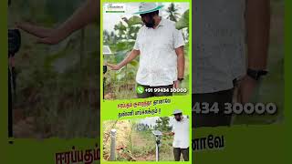 ஈரப்பதம் குறைந்தா தானாவே தண்ணி பாய்ச்சுக்கும் agtech smartfarming agriculture mobitech [upl. by Eceinaj]