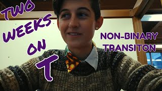 Starting LowDose Testosterone NonBinary Transition [upl. by Marmion489]