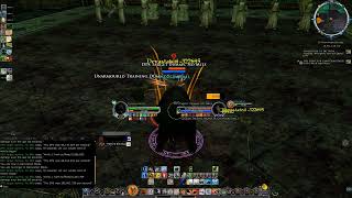 Lotro Red Beorning DPS U371 100k [upl. by Skier378]