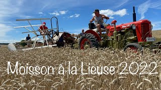 Moisson à l’ancienne avec Lieuse Mc Cormick et Tracteur zetor [upl. by Valentijn]