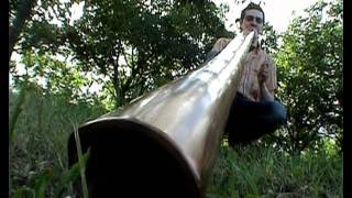 DIDGERIDOO  oboreal play on didgelement  tree to flood [upl. by Lashond]