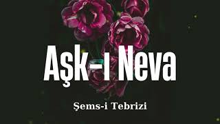 Şemsi Tebrizi  Aşkı Neva  Şemsin Mevlanaya Yazdığı Şiir  Şiir [upl. by Anayet42]