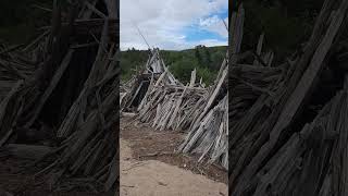 Driftwood Teepeequots in Rangeley Maine mainelife nature waterbody teepee [upl. by Corinna]