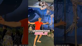 Lohnt sich das Sauriermuseum 🦖 dinosaurier museum zürich erlebnis freizeit tipp schweiz [upl. by Ddot]