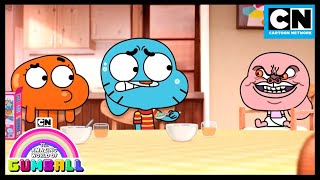 Anais The Evil Genius  Gumball  Cartoon Network [upl. by Eelhsa]