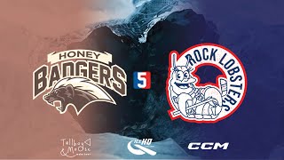 Honey Badgers V Rock Lobsters  Div 5  1st August  IceHQ Beer League ice hockey [upl. by Gaiser343]