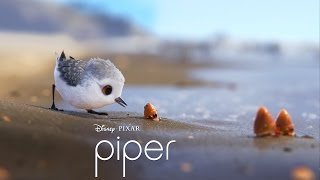 Piper short movie [upl. by Llenyt]