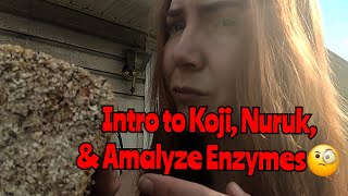 Koji Nuruk amp Amalyze Intro [upl. by Naujek]