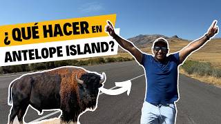 🦬TOP 5 mejores actividades en ANTELOPE ISLAND UTAH [upl. by Yema]