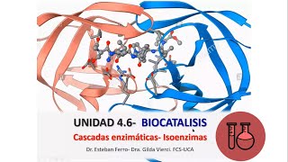 Clase Teórica Bioquímica 46 Biocatálisis cascadas enzimáticasisoenzimas [upl. by Aja429]