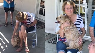 Grandmother With Alzheimer’s Disease Tears Up When Family Gets Her a Rescue Dog [upl. by Jack]