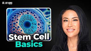 What Are the Different Types of Stem Cells [upl. by Aidul904]