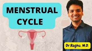 Menstrual Cycle  Female sexual cycle  Ovarian amp Endometrial cycle mbbs physiology [upl. by Hceicjow]