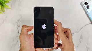 iPhone 13 amp 14 blackwhite screen iOS 17 wont turn on problem green line  fix now  Reiboot [upl. by Suqram]