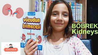 Vücudun Bilmecesi  BÖBREK  Kidneys [upl. by Leizo501]