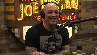 Joe Rogan Experience 1677  Tim Dillon [upl. by Drisko]