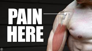 Biceps Tendinopathy  Tendinitis  Anterior Shoulder Pain Rehab Education amp Exercises [upl. by Eenar]