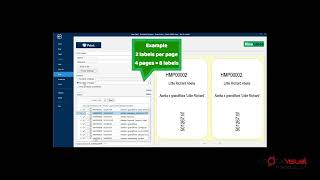 Nicelabel Controlling the Number of Print Labels [upl. by Papp927]