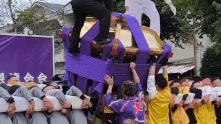 【松山秋祭り2024宵宮】北小唐人大神輿 練習 2024 105 [upl. by Lrub43]