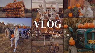 VLOG  trenn minu keha ja kaaluteema ning Soome Pumpkin Patchid 🎃 [upl. by Costanza110]