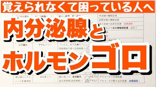 【語呂合わせ】内分泌腺とホルモンの語呂合わせ 12種類のホルモンの覚え方 内分泌系 ゴロ生物基礎 [upl. by Xuaeb91]