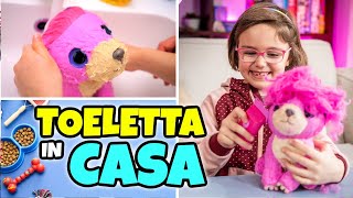 MATILDE PARRUCCHIERA PER CANI fa la TOELETTA a un Cucciolo di Peluche [upl. by Humble]