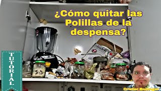 ¿Còmo quitar las polillas de la despensa de la cocina [upl. by Selene]