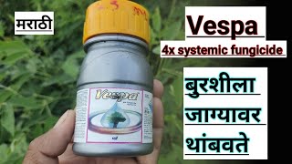 vespa fungicide uses in marathi  propiconazole difenoconazole use in marathi a2z farming marathi [upl. by Ydassac]