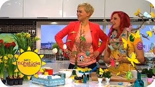 DIY Osterdeko basteln mit Bine Brändle  Sat1 Frühstücksfernsehen [upl. by Yelda]