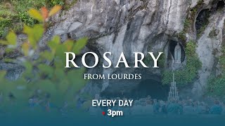 Rosary from Lourdes  30052024 [upl. by Zigrang392]